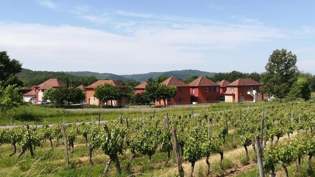 "Chezvero46" Residence 3 Etoiles Avec Piscine, Wifi Et Velos Prayssac エクステリア 写真